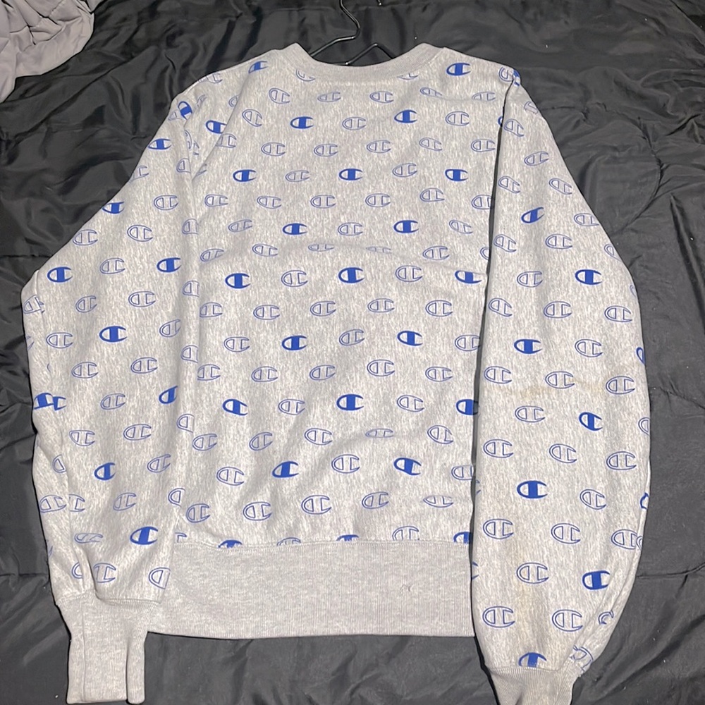 Champion hoodie size medium
